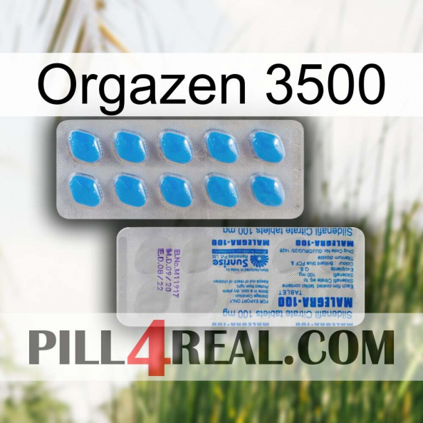 Orgazen 3500 new15.jpg